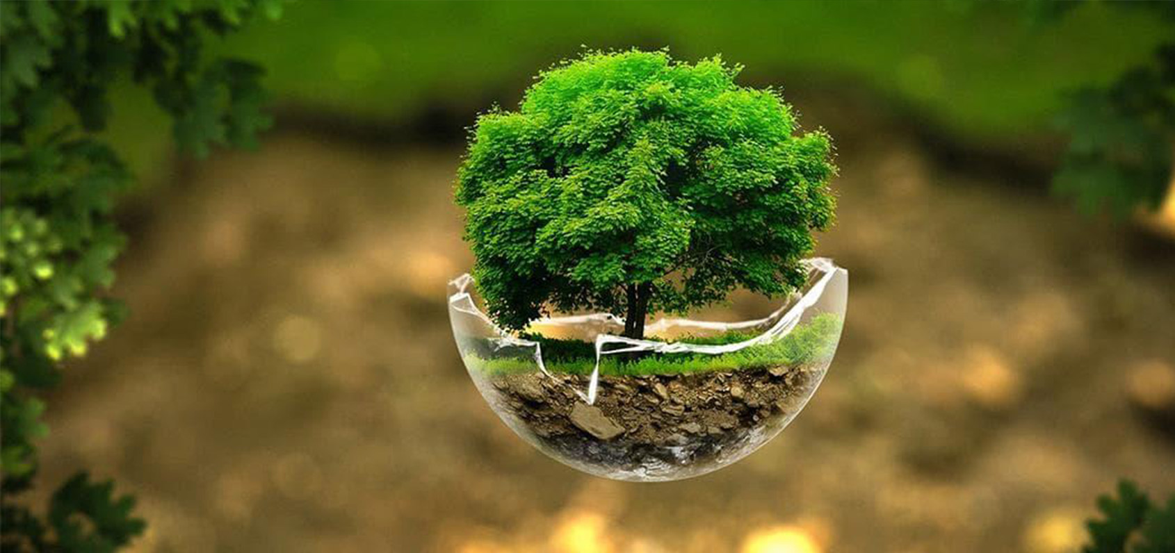 Priroda - najbolji lekar.